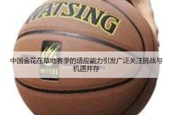 中国金花在草地赛季的适应能力引发广泛关注挑战与机遇并存